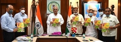 पर्यावरण सुधार सहित आय वृद्धि के लिए मुख्यमंत्री वृक्षारोपण प्रोत्साहन योजना महत्वपूर्ण - मुख्यमंत्री  बघेल