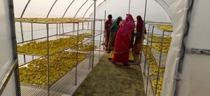 मुख्यमंत्री भूपेश बघेल 18 फरवरी को लॉन्च करेंगे  गौठानों के उत्पाद के एकीकृत ब्रांड &lsquo;अर्थ&lsquo; को