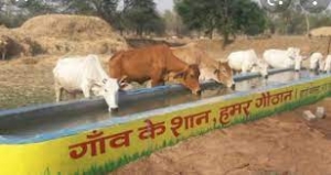 कलेक्टर ने गौठान, स्कूल, छात्रावास और आंगनबाड़ी केंद्र का किया औचक निरीक्षण