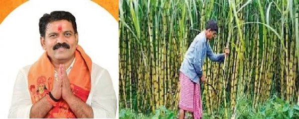 उपमुख्यमंत्री श्री विजय शर्मा के प्रयासों से गन्ना किसानों को दीपावली पर मिला बड़ा तोहफा