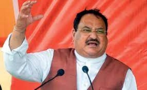 जमीन पर दिखेंगे बीजेपी कार्यकर्ता, एक लाख गांवों में जाने का निर्देश
