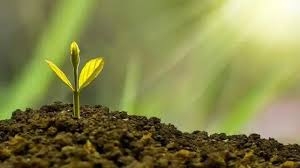 सुख-समृद्धि के लिए हमेशा याद रखें ये 10 वास्तु टिप्स, खुशियों से भर जाएगा जीवन