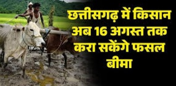 किसान अब 16 अगस्त तक करा सकेंगे फसल बीमा ,छत्तीसगढ़ सरकार के प्रस्ताव पर केन्द्र सरकार ने दी सहमति