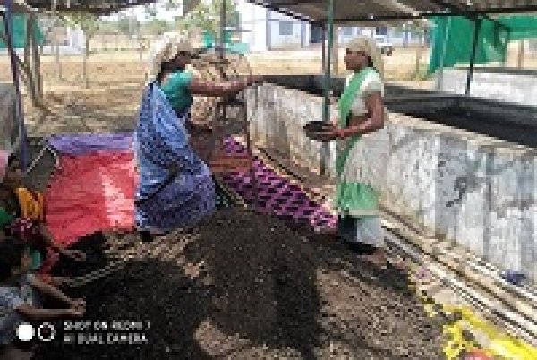 गोधन न्याय योजना से खुला ग्राम बरही के ग्वालिन स्वसहायता समूह के महिलाओं के लिए आमदनी का द्वार