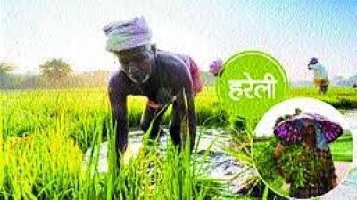 हरेक की पीरा हरने का पर्व है हरेली