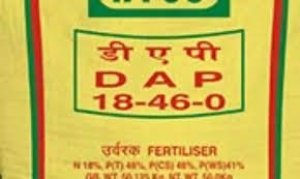 छत्तीसगढ़ सरकार ने डीएपी की कमी पूरा करने पुख्ता वैकल्पिक व्यवस्था की