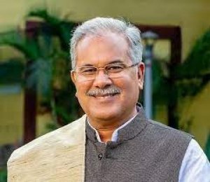 मुख्यमंत्री  भूपेश बघेल की घोषणा पर किया गया अमल :निजी जमीन पर लगे वृक्षों की कटाई के नियमों का किया गया सरलीकरण
