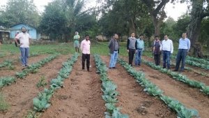 बायोटेक किसान हब से सवरती है बाडि़याँ