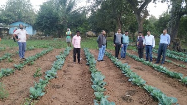 बायोटेक किसान हब से सवरती है बाडि़याँ