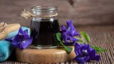 हेयर फॉल रोकने और दिमाग शांत रखने के लिए इन पांच आयुर्वेदिक तेलों से करें चम्पी