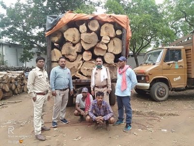 फारेस्ट विभाग ने दबिश देकर कौहा लकड़्ी से भरे वाहन पकडा, गाडी किया जब्त , आरा मिल में कौहा लकड़ी खपाने की थी तैयारी