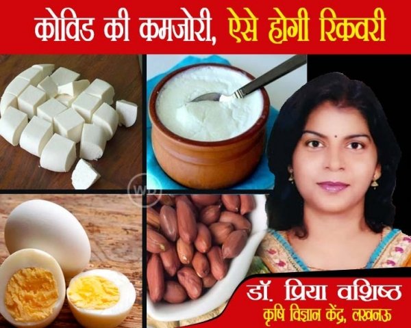 Post Covid थकान से उबरने के लिए क्या सेवन करें, डॉक्टर की सलाह