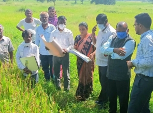 कमिश्नर ने किया गिरदावरी का निरीक्षण