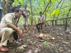 गणेश टेकरी पर नरकंकाल मिलने से हड़कंप, पहचान में जुटी पुलिस