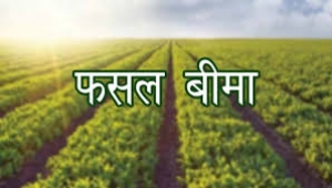 फसल बीमा कराने के लिये आवश्यक दस्तावेज जमा करने  की   अंतिम तिथि 15 जुलाई