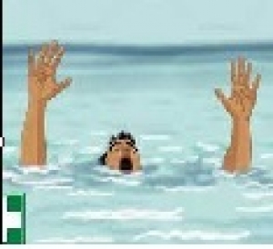 पानी में डूबने, मधुमक्खी और सर्प काटने से मृत्यु होने के प्रकरण में आर्थिक सहायता स्वीकृत