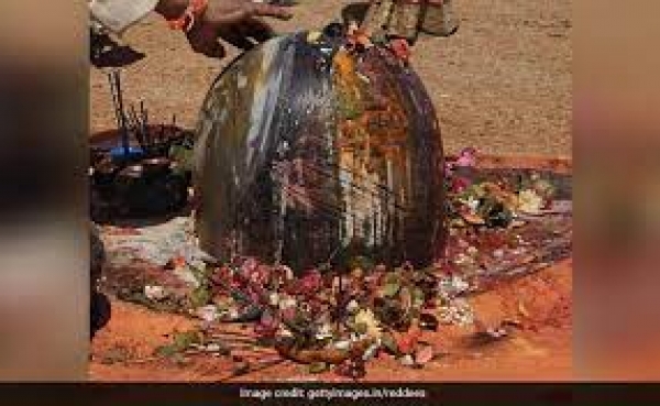 महाशिवरात्रि पर इन चीजों से करें रुद्राभिषेक, मान्यतानुसार मिलेगा मनचाहा वर, प्रसन्न हो जाएंगे भोले शंकर
