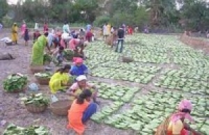 लघु वनोपजों के संग्रहण व्यवस्था को सुदृढ़ बनाने जिला स्तरीय ऑनलाईन प्रशिक्षण