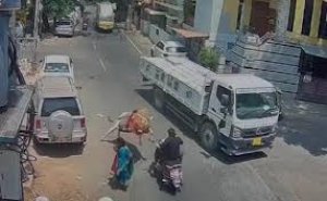 सांड ने अचानक सामने से आते स्कूटी सवार को मारी टक्कर; ट्रक के नीचे आने से बचा, सौभाग्य ऐसा कि लगी मामूली चोट