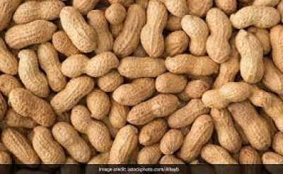 इन 5 परेशानियों में कभी नहीं खाना चाहिए मूंगफली, काटने पड़ सकते हैं अस्पताल के चक्कर