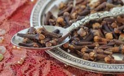नवरात्रि में मां दुर्गा की पूजा में चढ़ा दीजिए 2 लौंग, प्रसन्न होंगी मां और हर इच्छा होगी पूरी