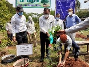 भिलाई इस्पात संयंत्र में विश्व पर्यावरण दिवस समारोह आयोजित