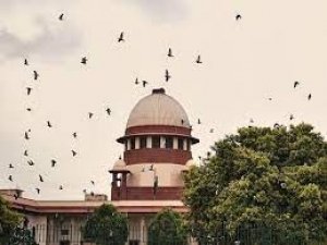 हैदराबाद एनकाउंटर मामला जस्टिस सिरपुरकर आयोग ने जांच रिपोर्ट सुप्रीम कोर्ट को सौंपी