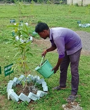 कृष्ण कुंज में पौधों की नियमित हो रही देखरेख