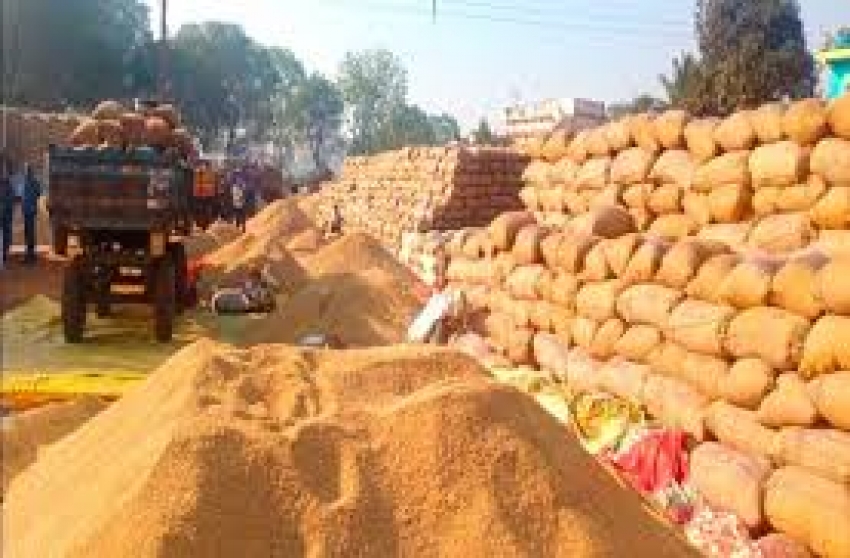 प्रदेश में 7 जनवरी तक 62 लाख मीट्रिक टन धान की खरीदी : राज्य के 15.49 लाख किसानों ने बेचा धान