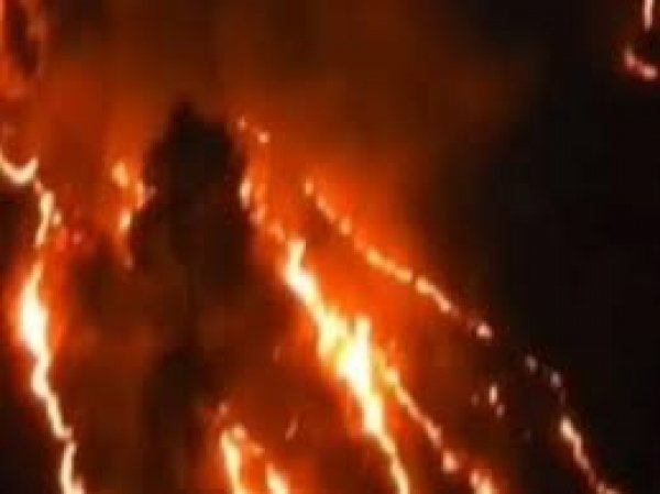 उत्तराखंड में धधक रहे थे जंगल, तड़प रहे थे पशु परिंदे, मां बनकर बरस गई बारिश