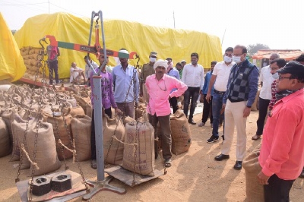 गौठान में महिलाओं की आय बढ़ाने के लिए कार्य करें