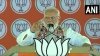 &#039;अमेरिका में शहजादे के अंकल...,&#039; पीएम मोदी ने सैम पित्रोदा के &#039;काली चमड़ी&#039; वाले बयान से राहुल को घेरा