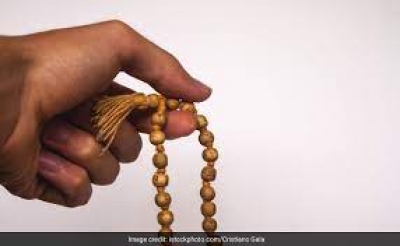 इस पौधे से बनने वाली माला को माना जाता है बेहद शुभ, धारण करने पर मिलती है सुख-समृद्धि