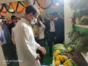 सांसद  राहुल गांधी को लुभाया  पांच रंगों की गोभी एवं बस्तर की कॉफी ने