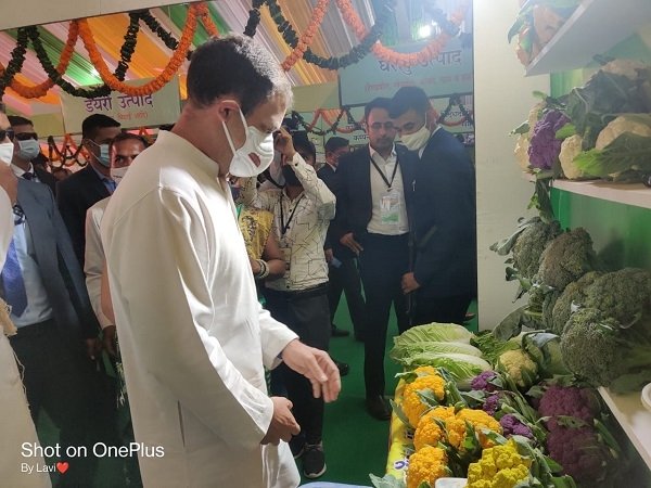 सांसद  राहुल गांधी को लुभाया  पांच रंगों की गोभी एवं बस्तर की कॉफी ने
