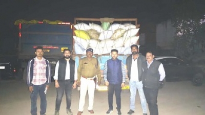 मुंगेली प्रशासन की बड़ी कार्रवाई: अवैध धान परिवहन पर 150 कट्टी धान सहित वाहन जब्त