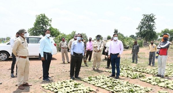 न्यूनतम समर्थन मूल्य में तेन्दूपत्ता खरीदी कर वनवासियों को अधिक से अधिक लाभान्वित करें -कलेक्टर