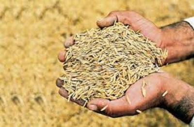 धान खरीदी के लिए किसानों का पंजीयन 31 अक्टूबर तक