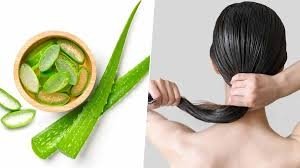बालों पर एलोवेरा जेल लगाने से क्या होता है? मजबूत और चमकदार बालों के लिए आजमाएं ये कारगर नुस्खा