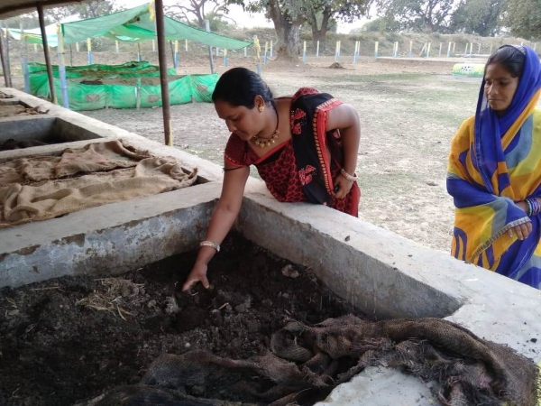 ​​​​​​​ग्रामीण महिलाओं के आय का जरिया बनी गोधन न्याय योजना , जैविक खाद बेचकर महिला समूह अर्जित कर रहीं लाभ