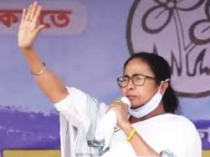 'हम्बा हम्बा' ममता बनर्जी ने BJP में शामिल हो चुके पुराने नेताओं पर ऐसा कसा तंज, बनने लगे मीम्स