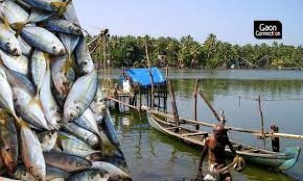 मछलियों की वंश वृद्धि हेतु मत्स्याखेट पर प्रतिबंध