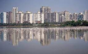 रेंटल हाउसिंग में सुधार  मॉडल टेनेंसी एक्ट के ड्राफ्ट को मंजूरी, जानिए क्या होगा फायदा