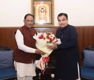 मुख्यमंत्री साय की पहल से खुला विकास का रास्ता,  चार नए पुलों का भूमि पूजन जल्द