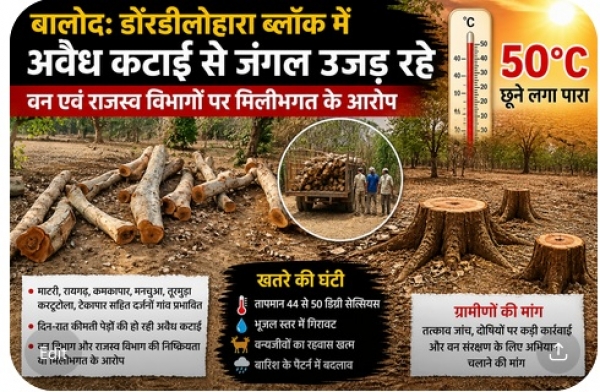 बालोद में जंगलों पर संकट: डौंडीलोहारा में अवैध कटाई से हरियाली उजड़ रही, विभागों पर उठे सवाल; 50&deg;C तक पहुंचा पारा
