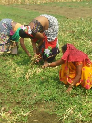 कठिन वक्त में काम आई सामूहिक संकल्प की सीख, महिला स्वसहायता समूहों ने लाकडाउन को भी सुअवसर में बदला