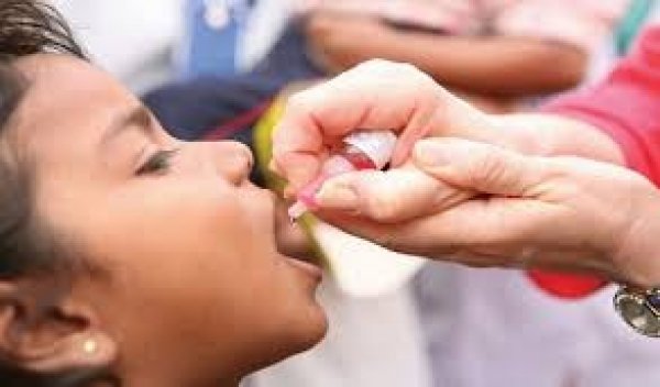 राष्ट्रीय पल्स पोलियो टीकाकरण अभियान-31 जनवरी को,2,35,752 बच्चों को  पिलाई जाएगी पोलियो की दवा