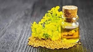 जोड़ो का दर्द ही नहीं, सर्दी-खांसी से भी निजात दिला सकता है ये एंटी इन्फ्लेमेटरी ऑयल, नोट कीजिए रेसिपी