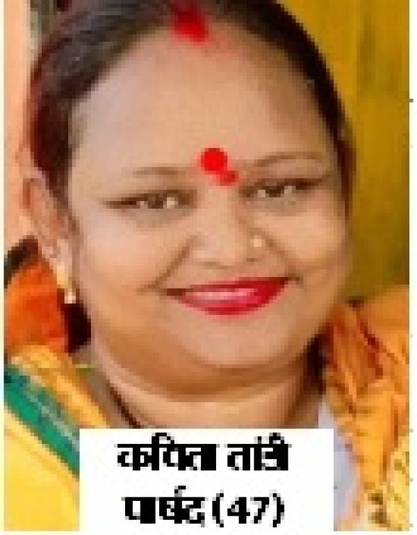 भ्रष्टाचार का आलम वार्ड पार्षद के कहने पर बिना कागज के बीएसपी की जमीन पर वार्ड इंजीनियर मोहित मरकाम ने बनवा  दिया बाउंड्री वाल