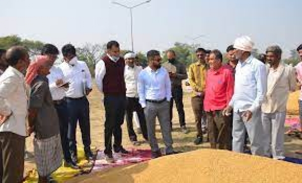 कलेक्टर ने चरौदा धान खरीदी केन्द्र का किया आकस्मिक निरीक्षण